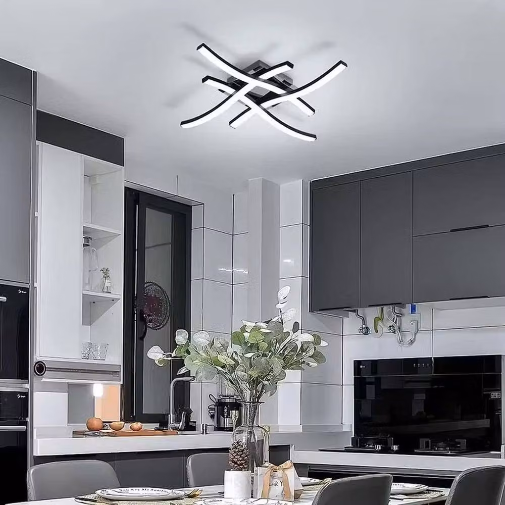 FLAVORA Dimmable LED Ceiling Light with Remote Control in Black and Silver – 5