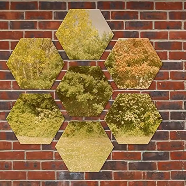 Primrose Gold Hexagonal Wall Mounted Non Shatter Acrylic Garden Mirror