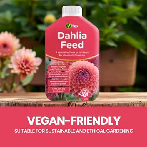 Vitax Organic Dahlia Liquid Feed 1L – 4