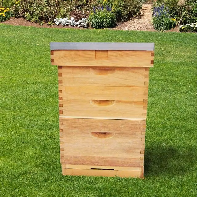 Actiasbee Brown Cedar Beehive for Bee Keeping