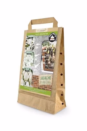 GreenBrokers White Lasagne Mix of 30 Spring Flower Bulbs, including Chionodoxa Alba, Narcissus Princess Zaide and Tulipa White Prince