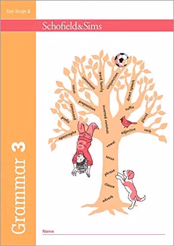 Schofield & Sims Grammar and Punctuation Study and Practice Book for Year 3, Ages 7-8, Multicolour