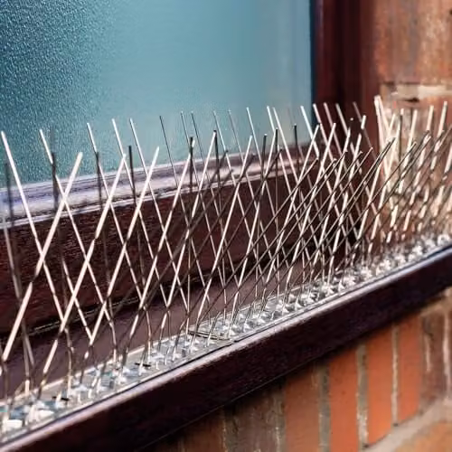 mysmartbuy 6 x Stainless Steel Bird Deterrent Spikes in Silver, H10.5 x W50 x D2.7 cm – 2