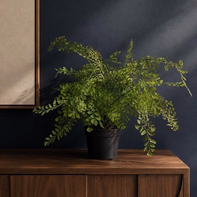 Botanik Premium Artificial Potted Fern Plant in Green, Height: 35 cm – 1