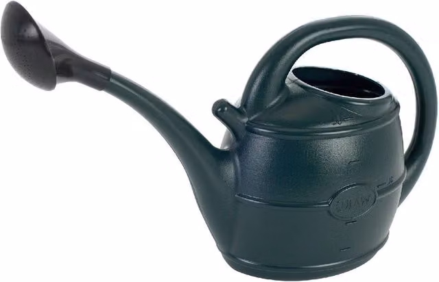 Ward 10L Rose Watering Can in Green