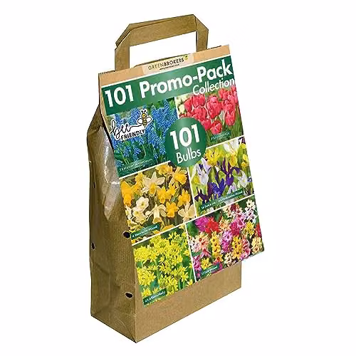 GreenBrokers 101 Promo Pack Multicolour Ornamental Garden Bulbs