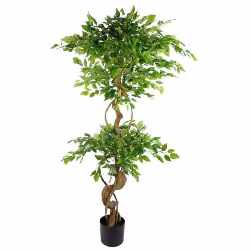 Leaf Design UK Large Twisted Ficus Artificial Green Tree, Height: 150 cm – 2