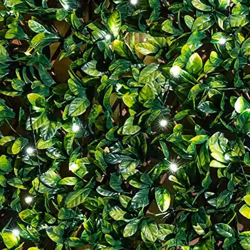 Primrose Green Artificial Laurel Leaf Extendable Trellis Hedge Screening W: 200 cm, H: 100 cm – 6