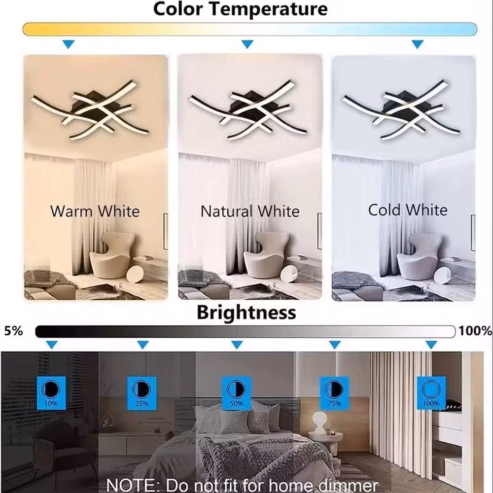 FLAVORA Dimmable LED Ceiling Light with Remote Control in Black and Silver – 4
