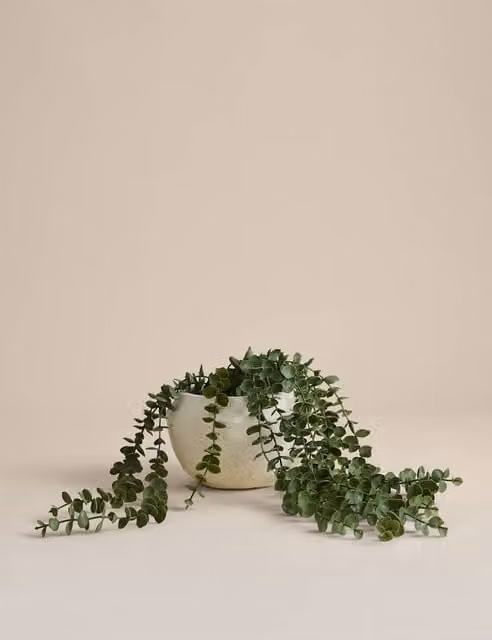 M&S Artificial String of Hearts Succulent in a Green Concrete Pot