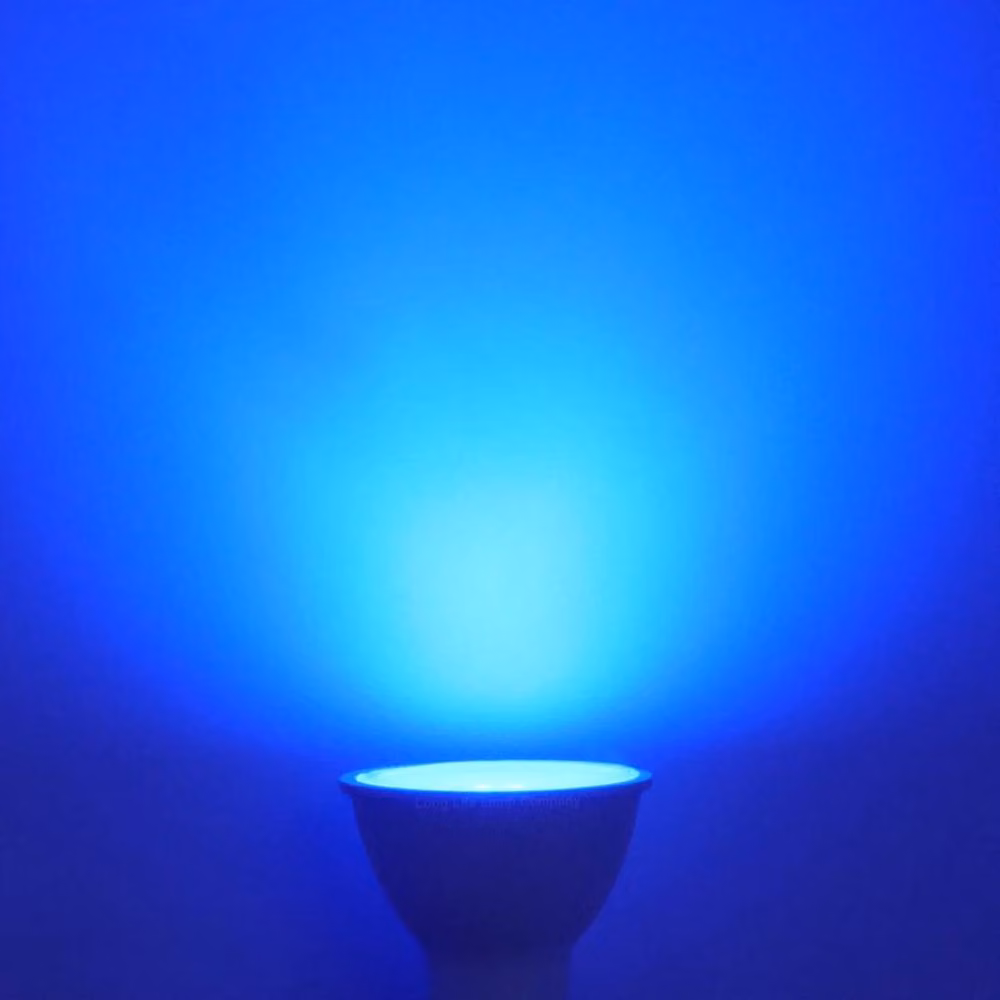 SPETLEK 2 Pack Blue LED GU10 5W Light Bulbs in White – 2