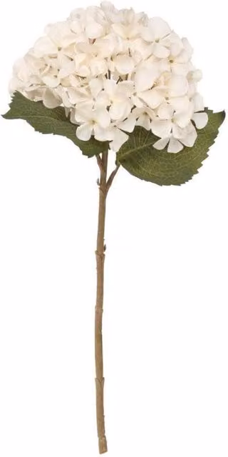 KDMD Balmoral Cream and White Hydrangea Floral Arrangement, 2 Pack, Height: 45 cm