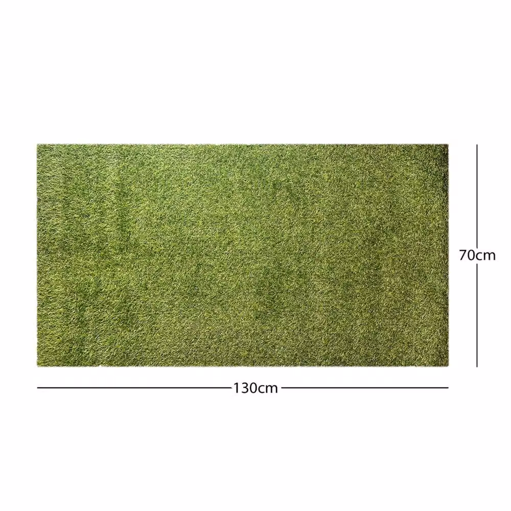 Nordara Green Artificial Grass Door Mat, W/D: 100 x 130 cm – 2