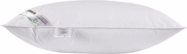 Homescapes Aloe Vera Hypoallergenic Microfibre Pillow with Cotton Cover, White, W/D/H: 48 x 74 cm