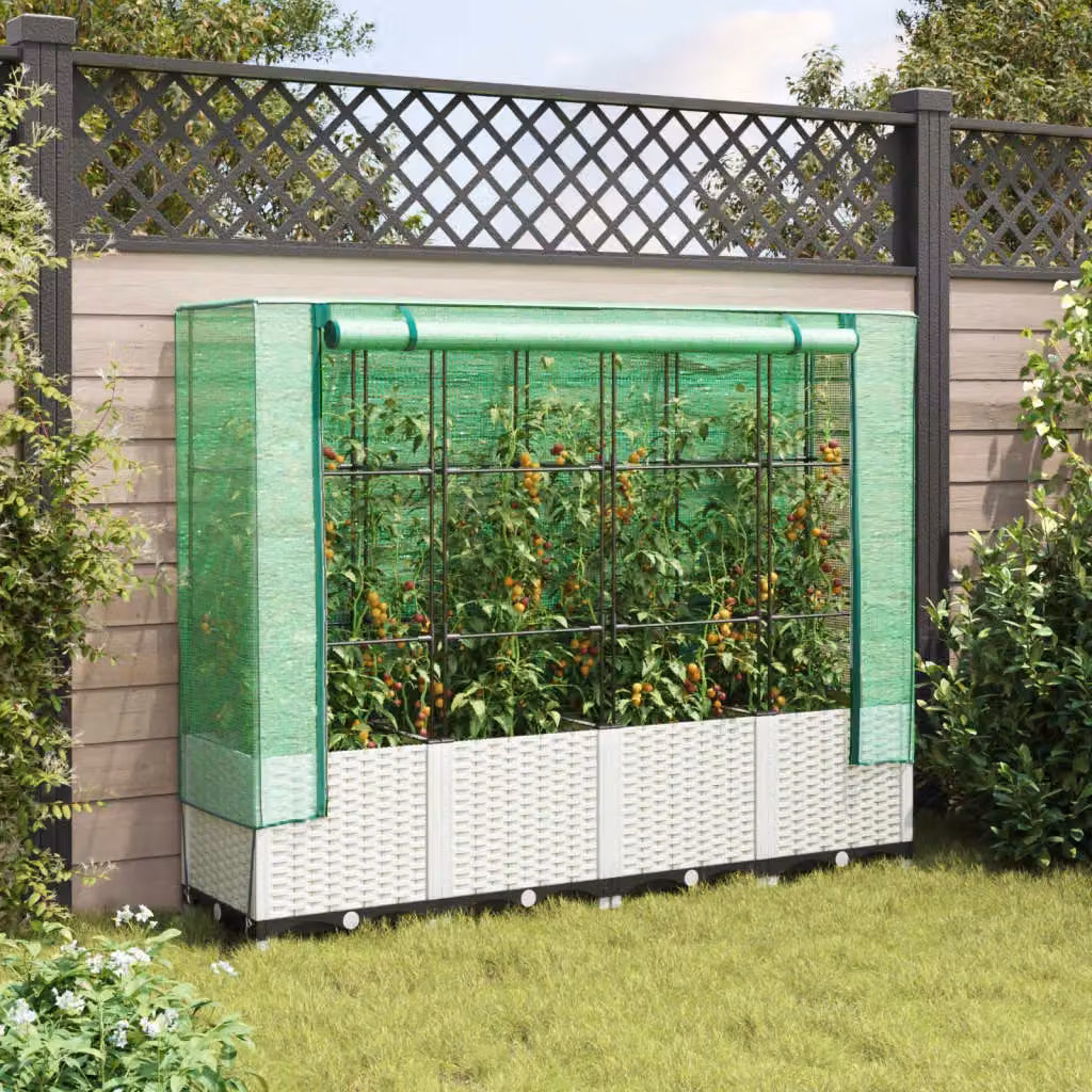 Berkfield Home Raised Bed with Greenhouse Cover in White Rattan Look, W/D/H: 160 x 40 x 138 cm – 2
