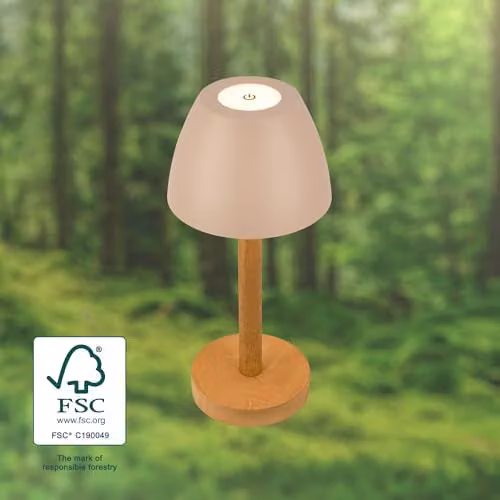 Briloner Rechargeable LED Table Lamp in Beige Wood, Dimmable Touch Control, IP44 Cordless Outdoor Light, W/D/H: 13.5 x 13.5 x 30.0 cm – 5