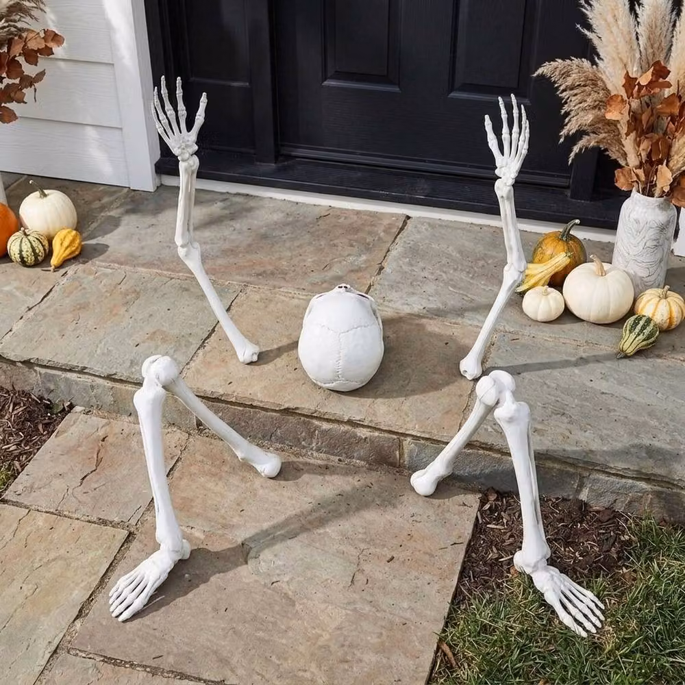 Garden Greatness Halloween Skeleton Bones Scene Kit in White and Multicolour – 2