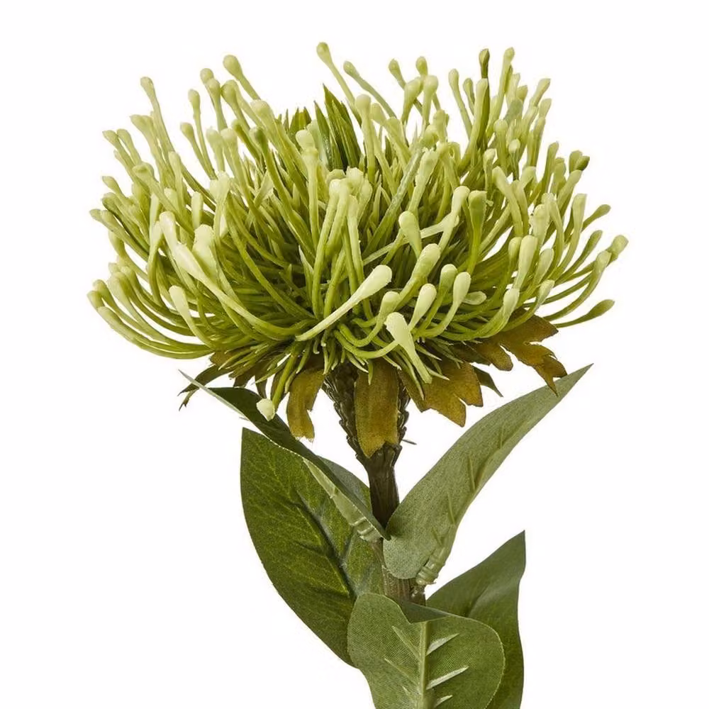 Lemon Pavilion Protea Lorea Single Stem Plastic Flower, Green, Height: 73 cm – 2