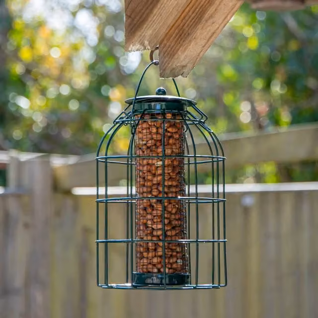 Natures Market Metal Wild Bird Hanging Nut Feeder with Squirrel Guard