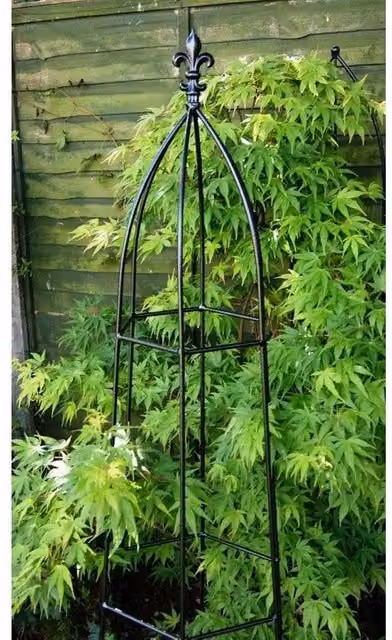 Poppyforge Gothic Obelisk Garden Support in Black Solid Steel W/D/H: 40.7 x 40.7 x 182.9 cm