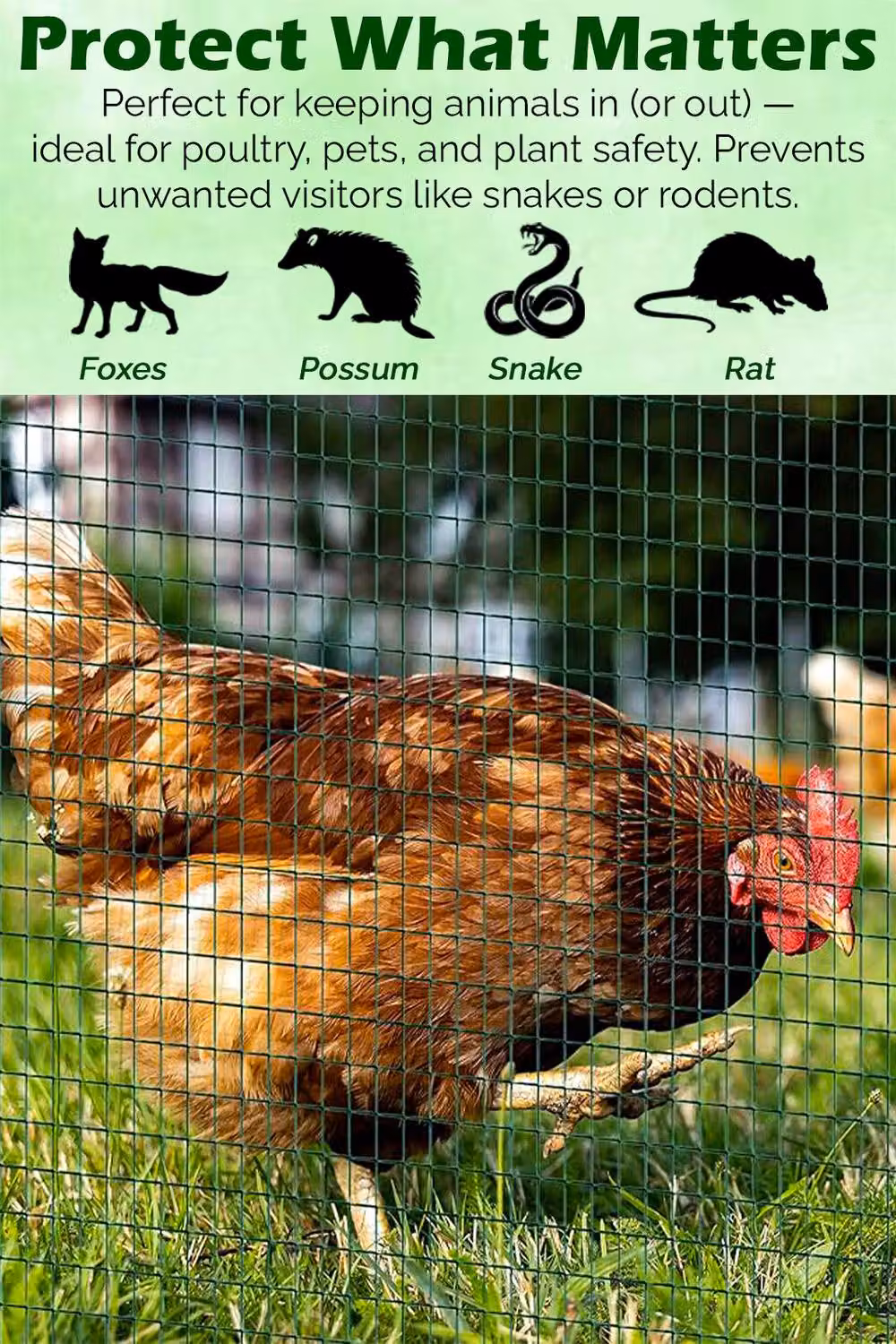 Hygrad PVC Coated Welded Mesh Fence Wire Netting in Green, 1 inch Square, W/H: 120 x 90 cm – 4