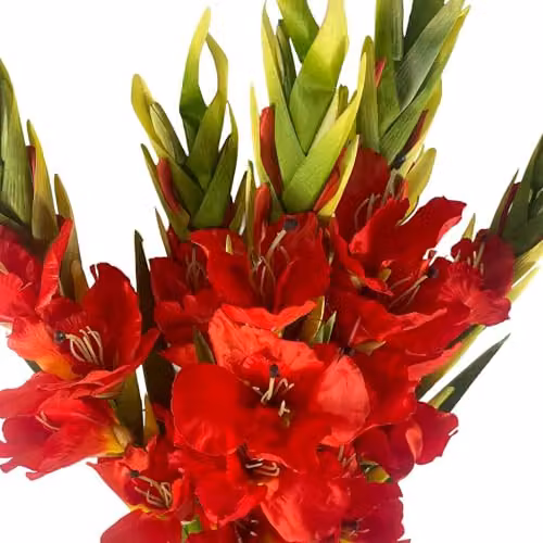 Leaf UK Orange and Red Artificial Gladioli Stems, Height: 115 cm – 2