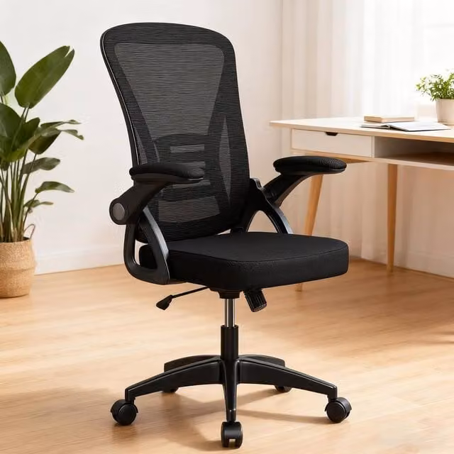 Gartistgo Ergonomic Mesh Office Chair with Flip-Up Arms and Lumbar Support in Black