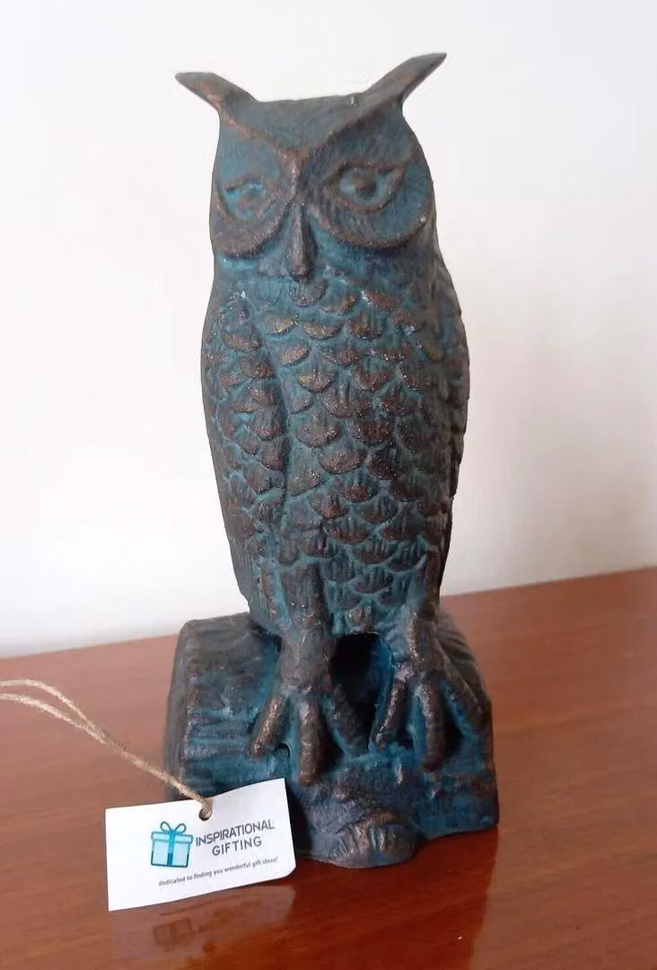 Inspirational Gifting Long Eared Owl Garden Sculpture in Bronze Metal Antique Finish – 3