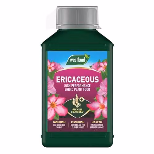 Westland Ericaceous Liquid Plant Food and Tonic, 1L