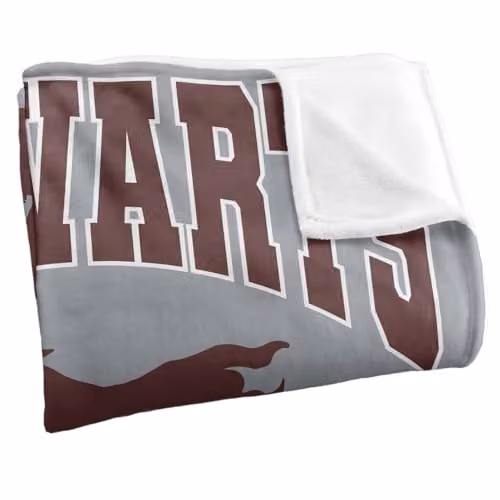Warner Bros. Harry Potter Hogwarts Flying Silky Touch Super Soft Fleece Throw Blanket, Multicolour, W: 127.0 cm, L: 152.4 cm – 2