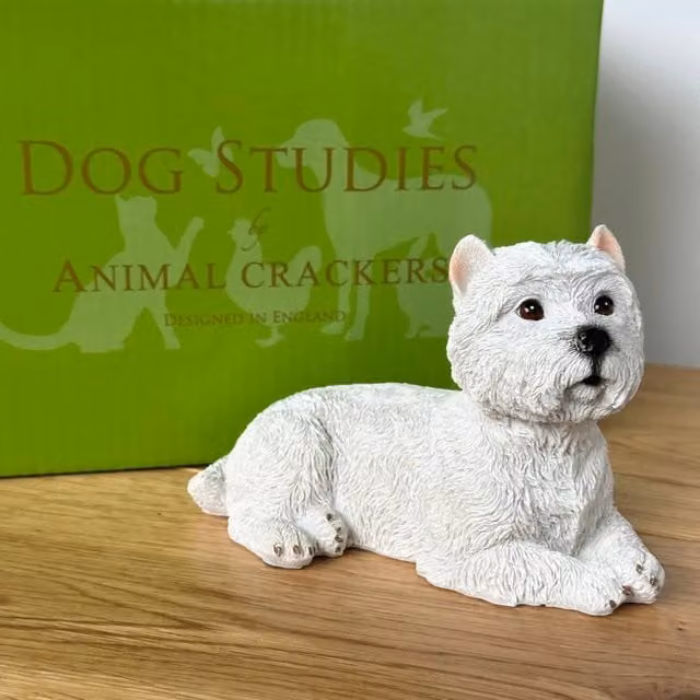 Animal Crackers White Laying West Highland Terrier Figurine, Height: 13 cm