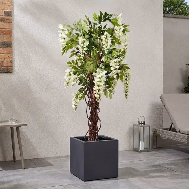 Garden Greatness Lifelike Cream and White Wisteria Potted Tree, Height: 180 cm