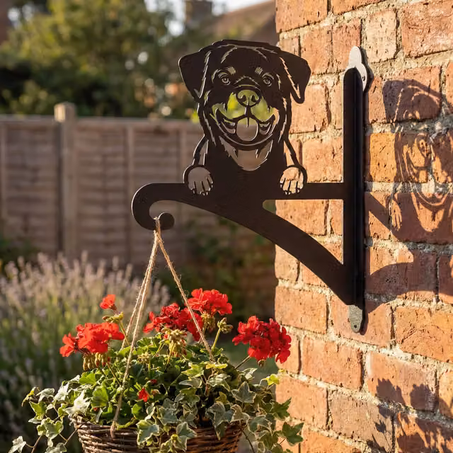 Laser Hut Rottweiler Ornamental Metal Hanging Basket Bracket in Black