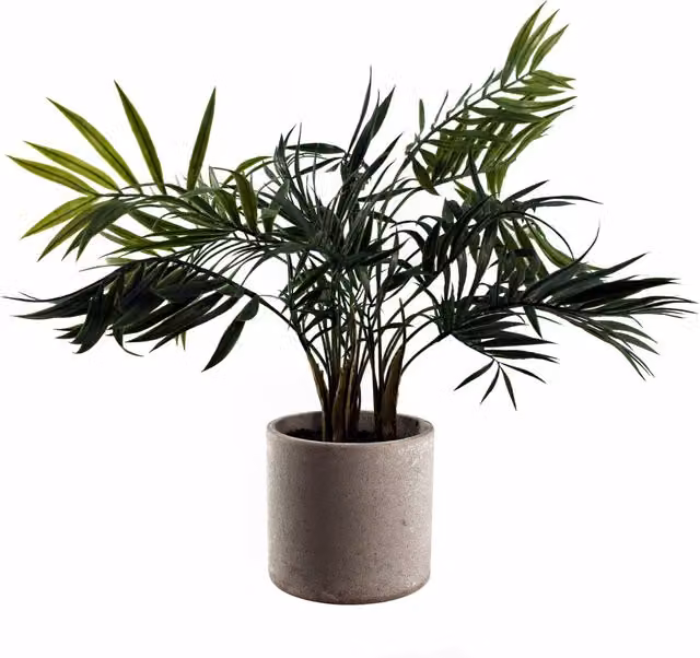 Green Artificial Mini Palm in a Round Rustic Concrete Planter