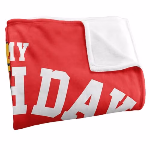 LOGOVISION Harry Potter Gryffindor Birthday Super Soft Fleece Throw Blanket for Children, Multicolour, W: 127 cm x L: 152.4 cm – 2