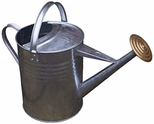 Apollo Gardening Ltd Galvanised Steel Vintage Watering Can in Silver/Grey with Rose Spout – 1