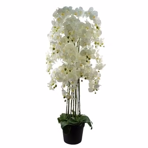 Leaf Realistic Artificial White Orchid Plant with 189 Flowers, Height: 150 cm