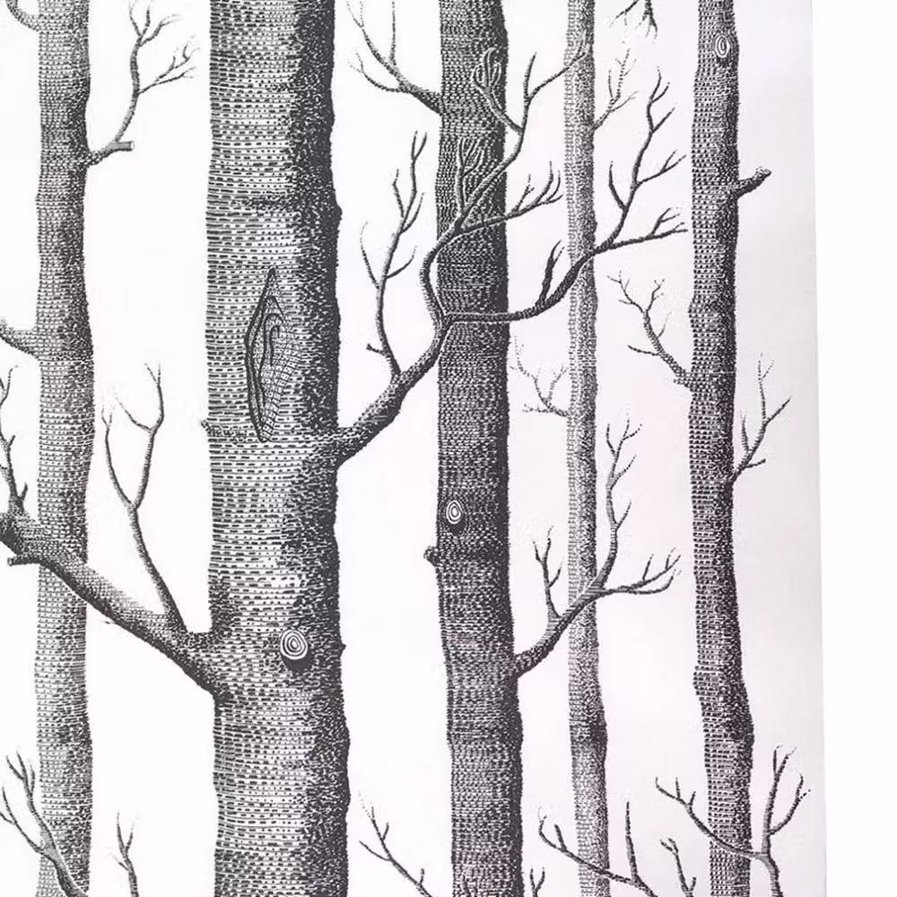 KORVIXA Birch Tree Rustic Wood 3D Wallpaper in Black, Width: 100 cm – 5