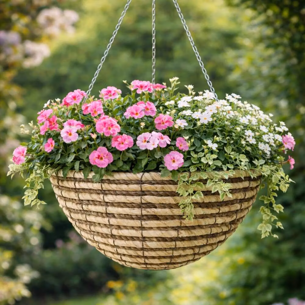 Marco Paul Brown Rattan Round Hanging Basket Planter, Diameter: 35.56 cm – 2