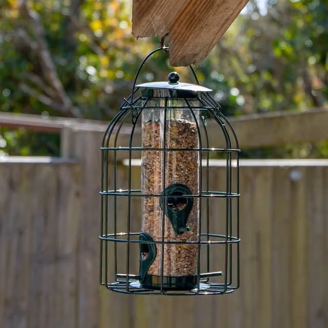Natures Market BF008S Green Metal Wild Bird Seed Feeder Cage with Squirrel Guard