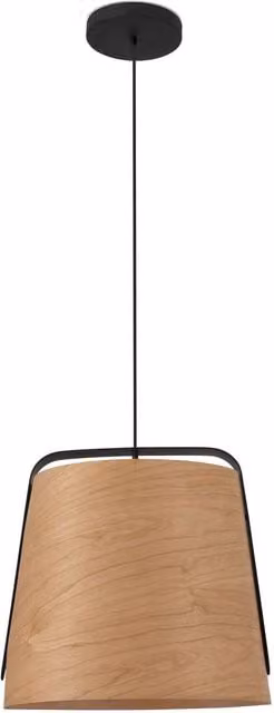 Faro Stood 1 Dome Ceiling Pendant Light in Black and Wood with E27 Socket