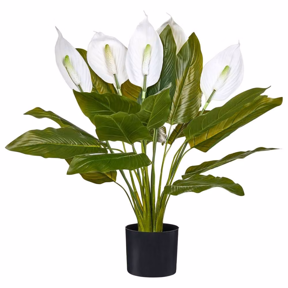 Wyld and Coco Faux Peace Lily Potted Tabletop Plant in Green and White – 2