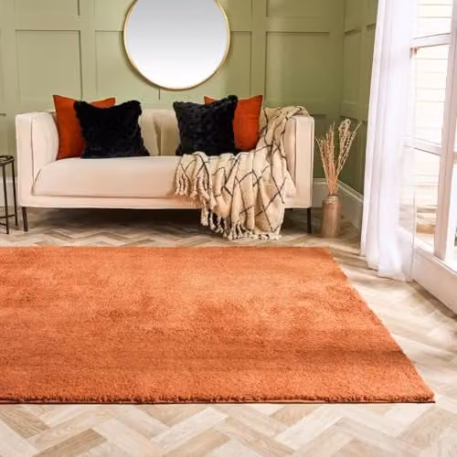 OHS Modern Teddy Shaggy Area Rug in Rust Orange, W/D: 120 x 170 cm – 1