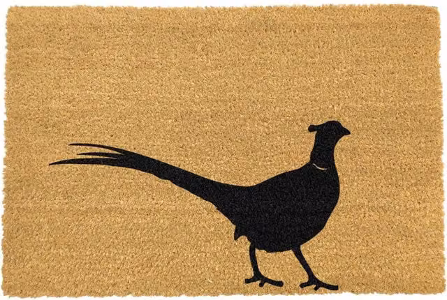 Artsy Country Home Pheasant Extra Large Non-Slip Coir Doormat, Black and Multicolour, W: 90 cm, D: 60 cm