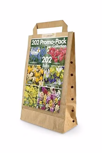 GreenBrokers 202 Mixed Spring Flower Bulbs, Multicolour Bee-Friendly Bulb Collection – 1