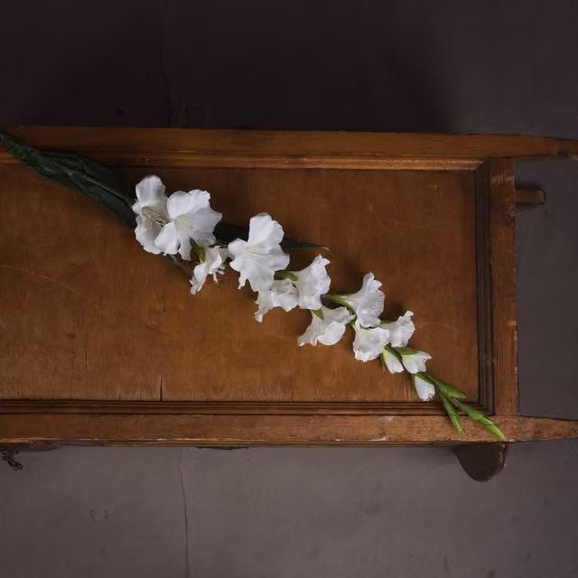 Love Lace White Gladioli Artificial Flower