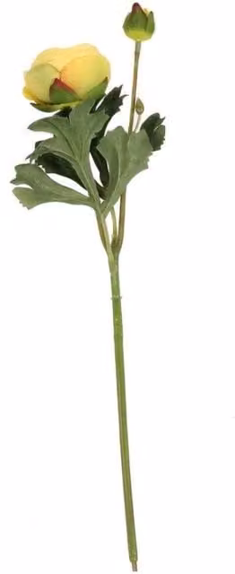 KDMD Yellow Ranunculus Textile Floral Decoration, 5 Pack, Height: 38 cm