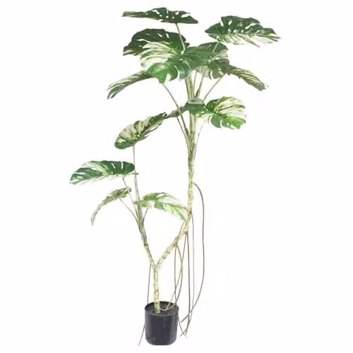 LeafUK Green Artificial Monstera Plant Tree, H 180 cm x W 80 cm x D 80 cm