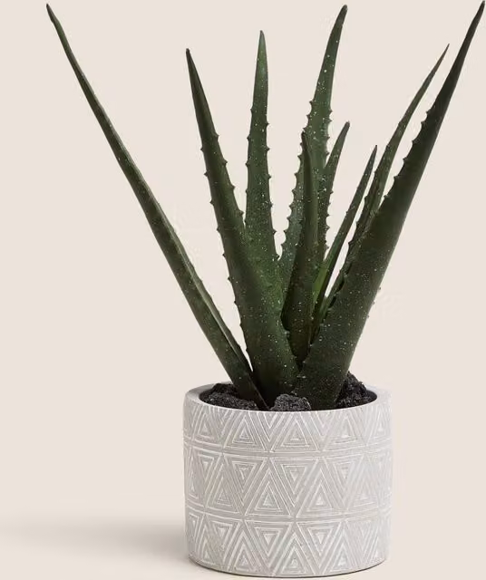 M&S Artificial Aloe Succulent Potted Plant in a Green Geometric Ceramic and Plastic Tabletop Pot