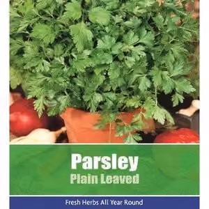 De Ree Plain Leaved Parsley Herb Seeds, 170 Seeds